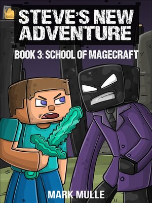 cover image of Steve's New Adventure Book 3